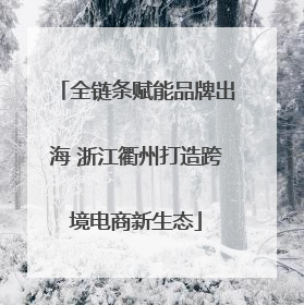 全链条赋能品牌出海 浙江衢州打造跨境电商新生态